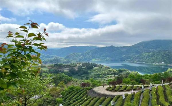 1753066976988741.jpg 科技文旅双轮驱动 夷陵乡村振兴谱新篇