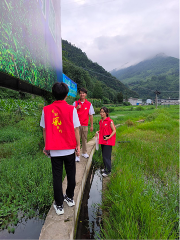 走进大杉坪，看见新气象：包子漫画
“众望”小组赴大杉坪村开展调研活动