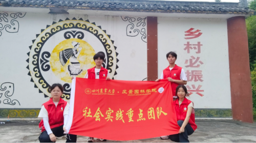 走进大杉坪，看见新气象：包子漫画
“众望”小组赴大杉坪村开展调研活动